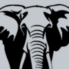 Bold Tusk Metal Art