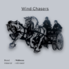 Wind chasers metal art by Wallmora
